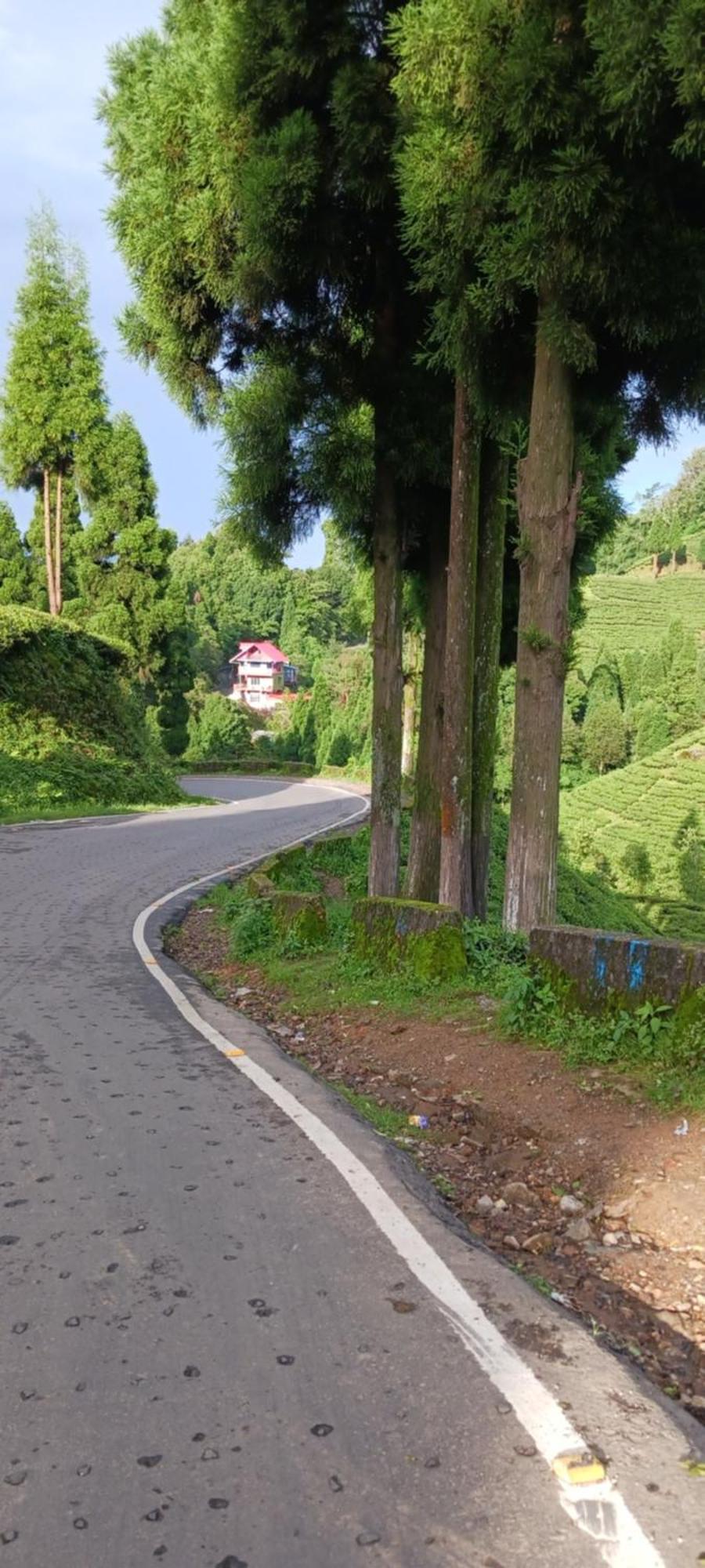 Lotus Homestay Darjeeling  Ngoại thất bức ảnh